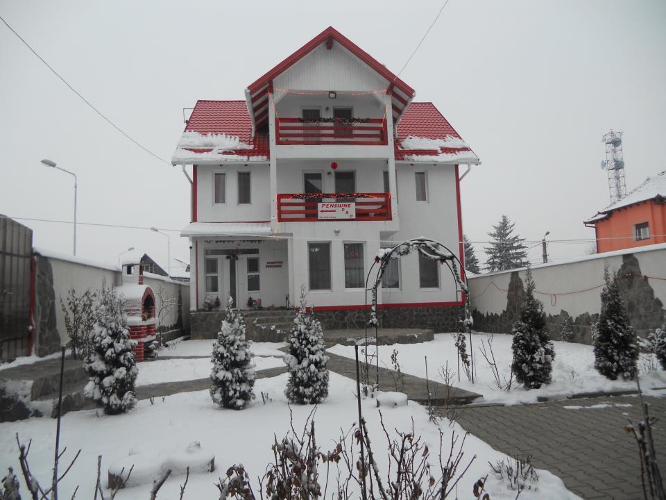 Pensiunea D&D Făgăraş Exterior foto